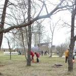 Субботник на Штромке 23 апреля 2016 года. Фото: Управа Пыхья Таллина