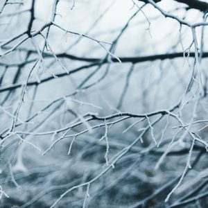 Фото: pixabay.com.