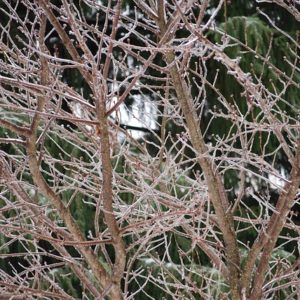 Фото: pixabay.com.