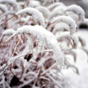 Фото: pixabay.com.